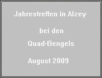 Alzey 00.07.2008